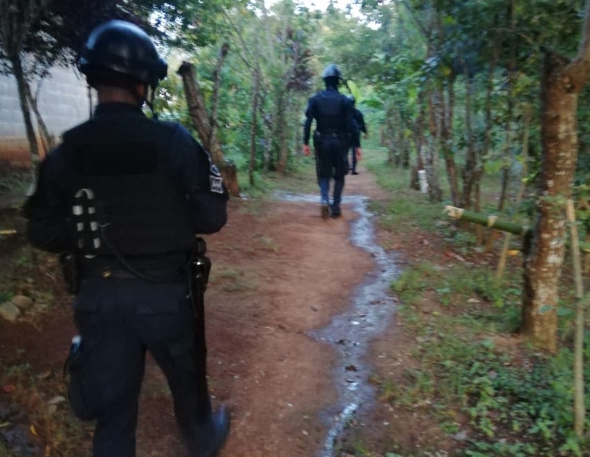 Hay dos personas judicializadas sobre este delito el cual suma más de 10 víctimas en la provincia de Chiriquí. Foto/José Vásquez