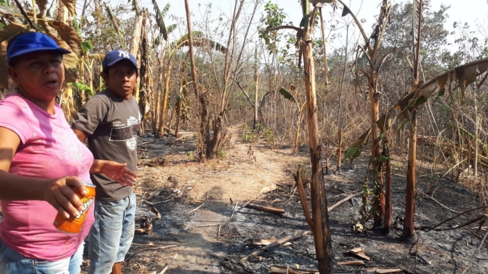 Ruth Vega hermana del difunto Apolonia Vega y el vecino Artura Aguilar, recorren la finca incendiada donde fue encontrado el señor Apolonio. Foto Cortesía/Elena Valdéz