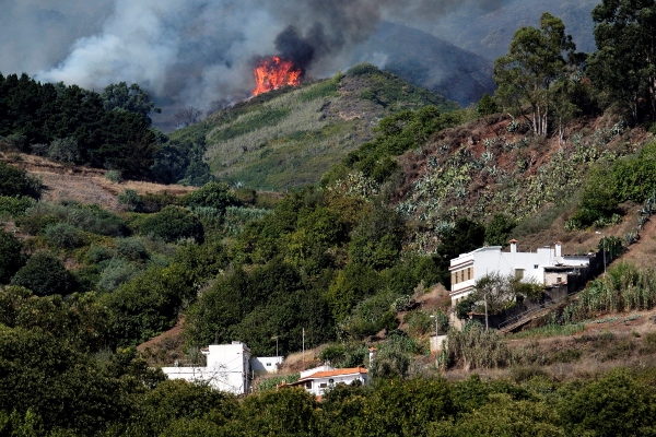 Vista del incendio forestal en la isla española de Gran Canaria y que ha obligado a evacuar de sus viviendas a 2.000 habitantes de seis poblaciones afectadas y podría haber quemado ya unas mil hectáreas. FOTO/EFE