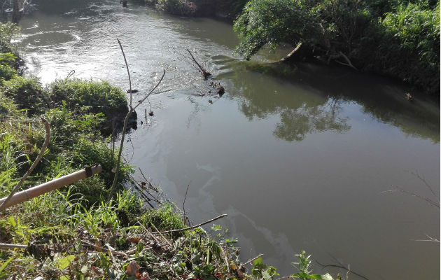 Río Trapichito en el distrito de La Chorrera. Foto: Eric A. Montenegro.