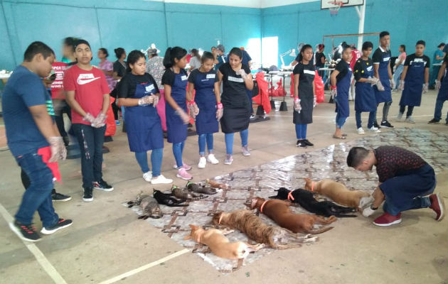 El Grupo Arich  de la Chorrera junto a Spay organizan la jornada. Foto: Luis Ávila.