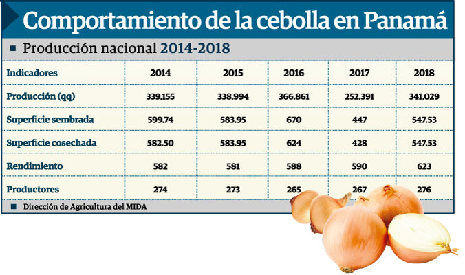 Los precios del kilo de la cebolla a nivel mundial varían según los mercados.