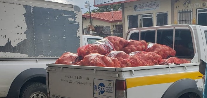 Se busca proteger a los productores, ya que el objetivo es salvaguardar las condiciones fitosanitarias en las áreas de producción. Foto/José Vásquez