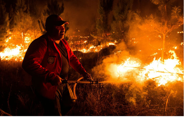 Tres son las regiones que se mantienen como prioritarias en el ataque contra los incendios forestales: la Araucanía, Aysén y el Bío Bío, las más afectadas hasta el momento.