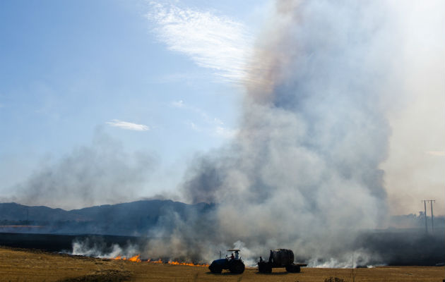 En la madrugada de este domingo, dos maquinarias forestales fueron destruidas por tres encapuchados en el sector La Serena.