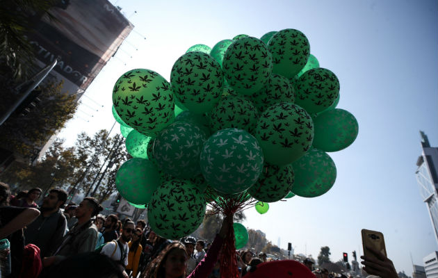 Miles de chilenos se manifestaron este sábado en el centro de Santiago para reclamar cambios urgentes en la regulación y el acceso al cannabis medicinal y recreativo.