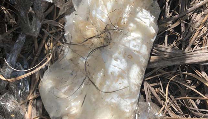 En medio de la limpieza de playa encontraron un paquete con presunta cocaína. Foto/Mayra Madrid