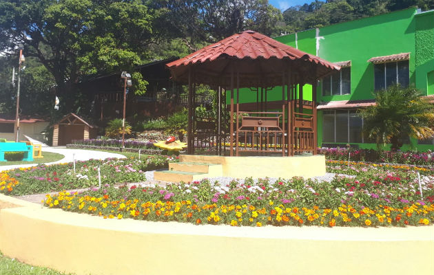 Los jardines están a su máxima floración, lo cual llama la atención de las personas que visitan la feria en Boquete, Chiriquí.