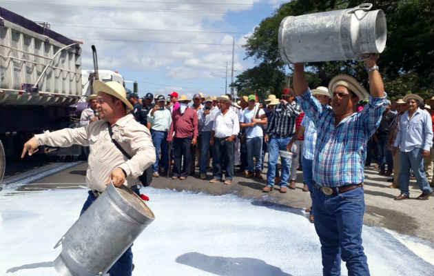 Los productores en Divisa vaciaron garrafones de leche en la carretera. Foto: Thays Domínguez. 