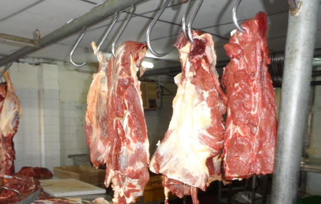 Los veterinarios están dispuesto al diálogo a través de la dirigencia nacional, quien desde un inicio lleva adelante los acuerdos y los cuales no han sido cumplidos. Foto/José Vásquez