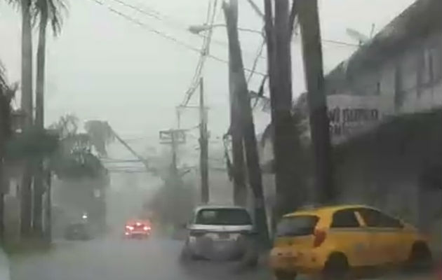 El viento también ocasionó que una palmera cerca al parque Sucre cayera sobre el sistema eléctrico.