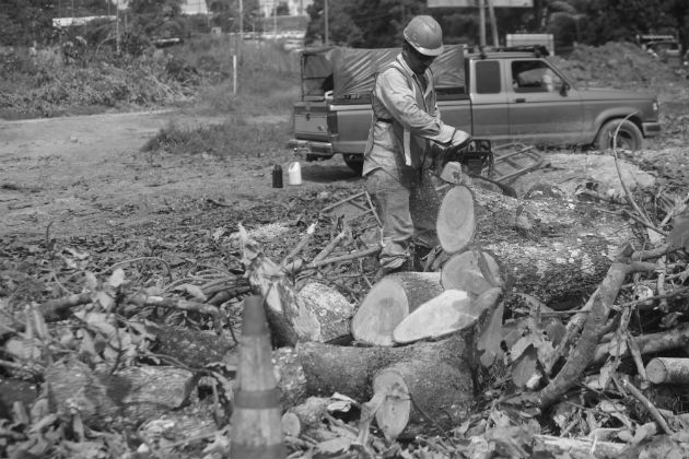 El medio ambiente y la protección de los recursos naturales renovables, por tratarse de una materia de vida o muerte, es un tema de cartelera en cualquier agenda de Gobierno. Foto: Epasa.