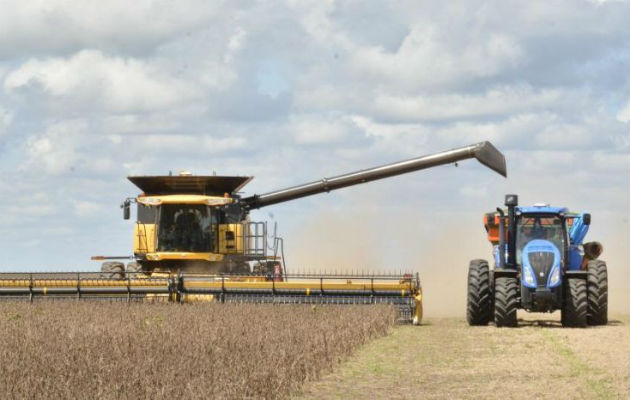 La producción de cereales, leguminosas y oleaginosas el próximo año supone un leve retroceso