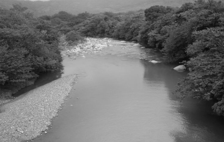 Se pueden hacer miles de parques nacionales, pero sin un manejo, esto es por el gusto, al final, la falta de agua nos dirá lo mal administradores que somos.