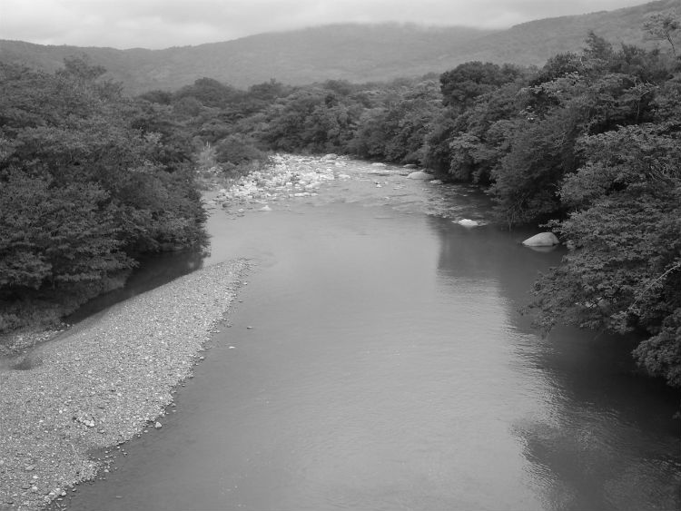 Otra parte que denunciamos son nuestras áreas de la cuenca del Canal, donde aun en las partes más altas, donde se produce el agua, hay fincas ganaderas extensivas, algo inaudito. 