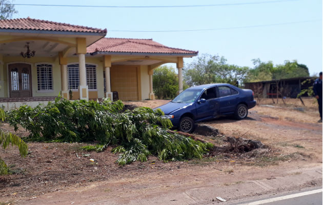 La conductora colisionó con un árbol.. Foto: Thays Domínguez.