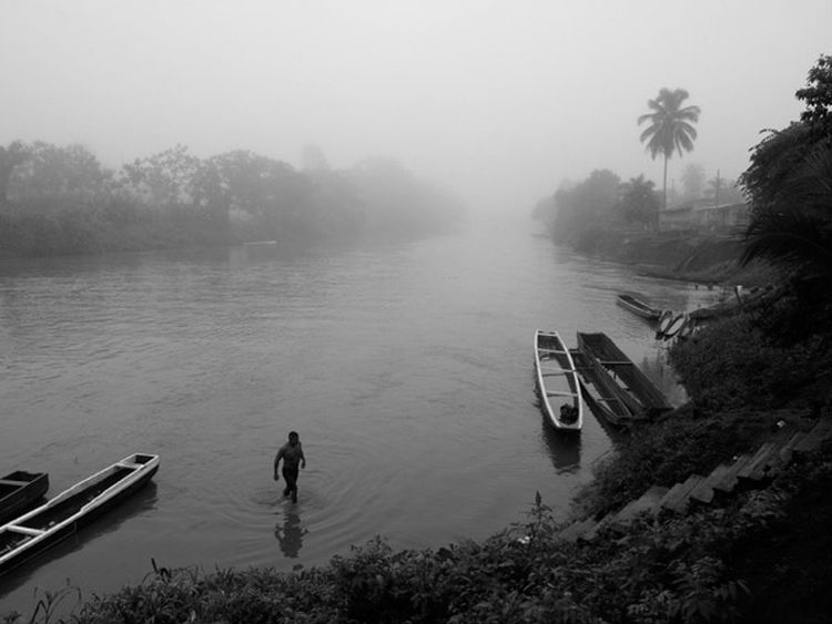 La comunidad de El Coco debe su nombre a la gran cantidad de palmeras del área. 