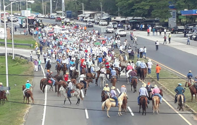  Todos los gremios del sector agropecuario de unieron en Divisa. Foto: Thays Domínguez.