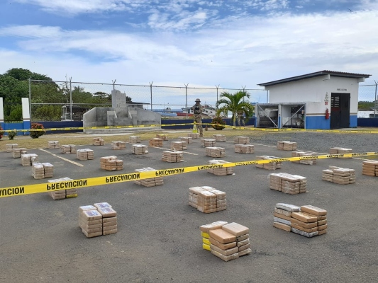 Los paquetes encontrados eran de cocaína, según se confirmó a través de las pruebas de campo realizadas, la cual se encontraba repartida en 55 bultos. Foto/Thays Domínguez