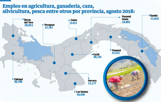 La crisis que enfrenta el sector agropecuario ha hecho que se pierdan plazas de empleo