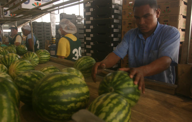 De 11 mil millones de dólares que exportó Guatemala en 2017,  Panamá sólo exportó contra 660 millones.