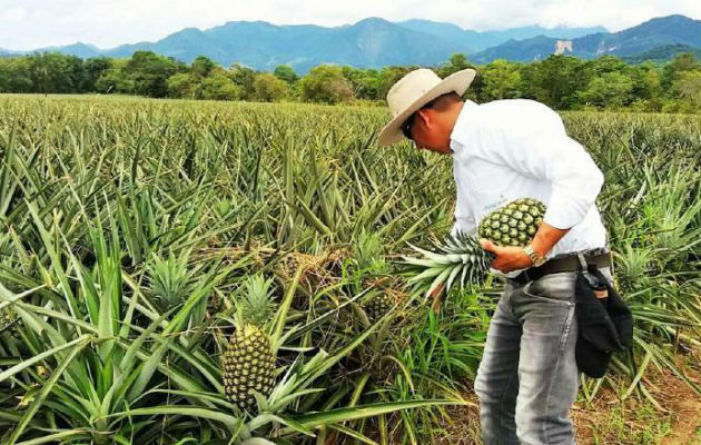 Durante el 2018, Panamá solo exportó 672 millones de dólares. Archivo