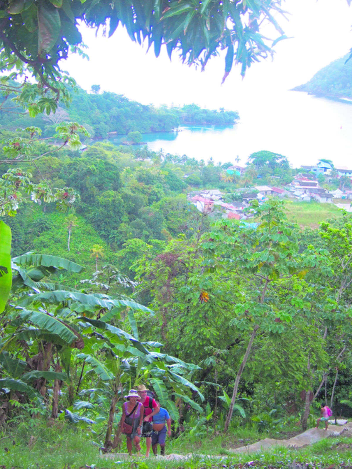 La Miel - Panamá / Un exótico lugar en la frontera con Colombia 