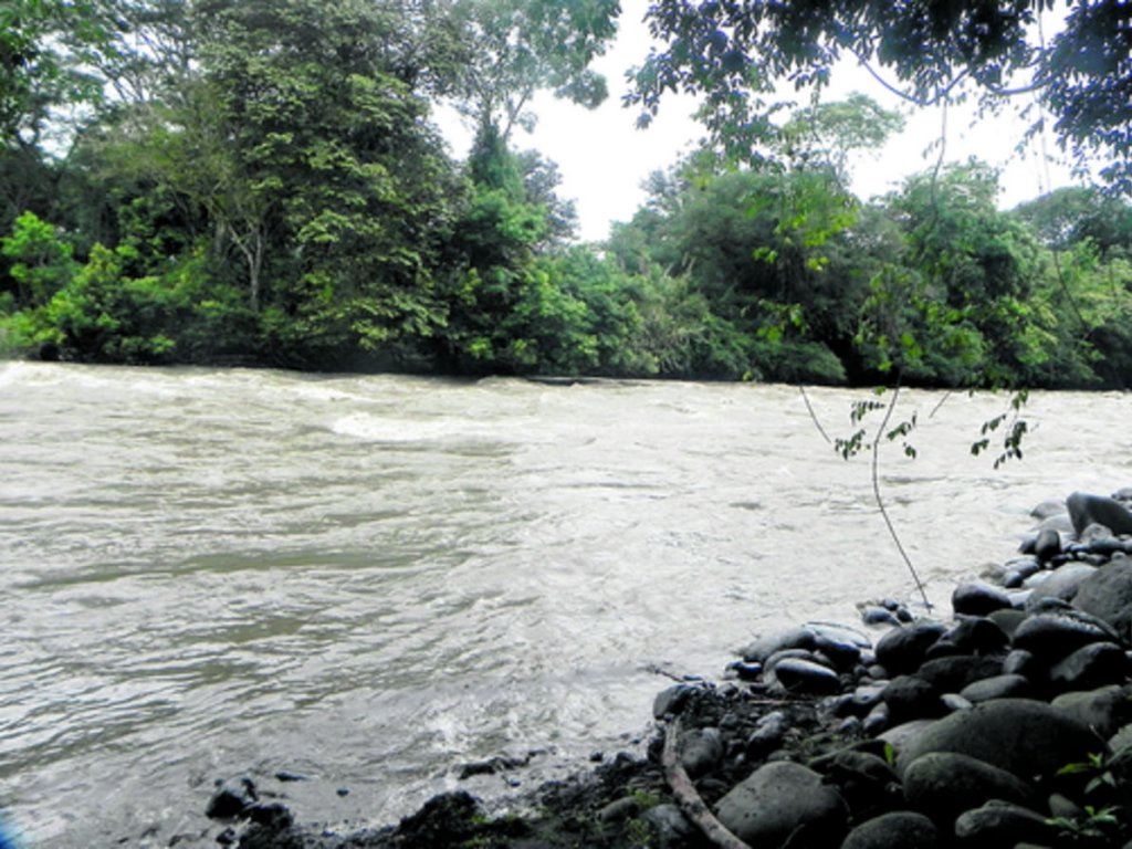Plan de manejo para río Chiriquí Viejo | Panamá América