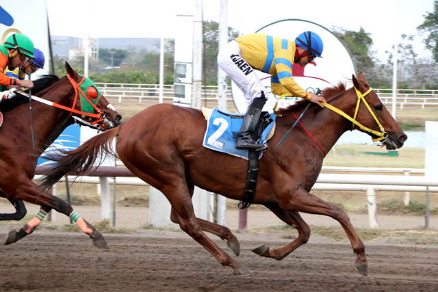 Fray Angélico tratará de sumarse a los nacionales ganadores del Velocidad.
