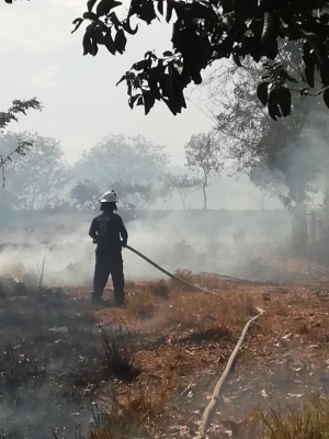 En el operativo de extensión participan mas de 40 unidades de los bomberos, Sinaproc, Servicio Nacional Aeronaval y voluntarios de la comunidad. Foto/José Vásquez