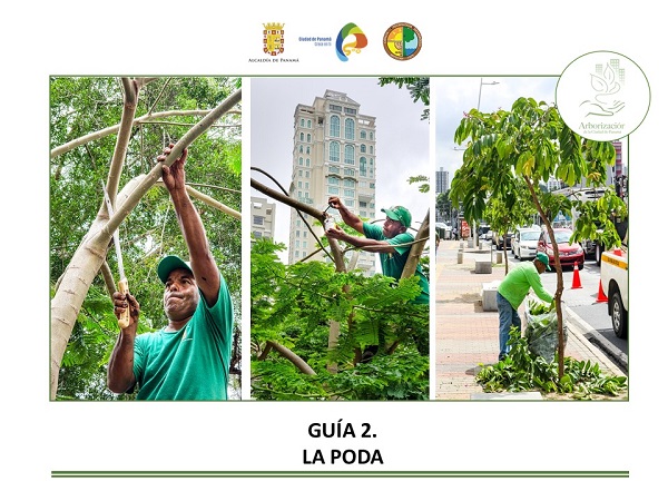 Las guías de arbolado urbano tienen elementos técnicos para el manejo en áreas de servidumbre.