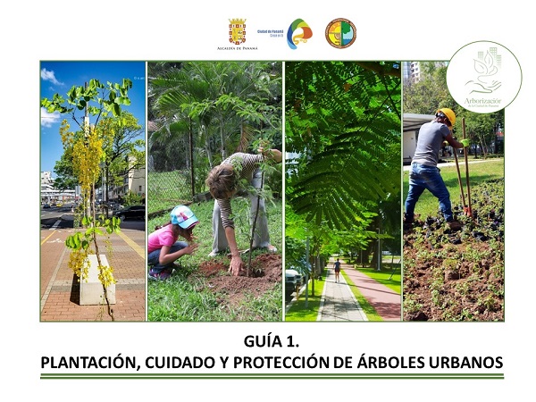 Las guías de arbolado urbano tienen elementos técnicos para el manejo en áreas de servidumbre.