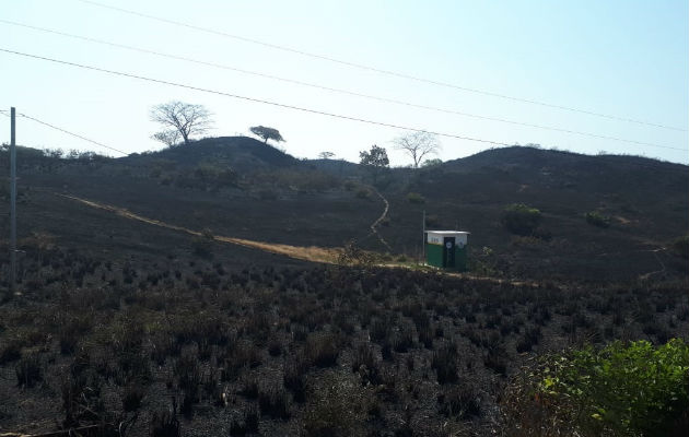 Los bomberos tratan de controla r el incendio forestal que se originó desde el viernes. Foto/Thays Domínguez