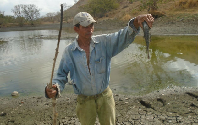 En la llamada represa de La Laja, ubicada en el corregimiento de Villa Lourdes, en la provincia de Los Santos, este gran reservorio se ha agotado por encima del 85 por ciento.