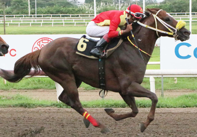 Ey Cuba será uno de los favoritos de la jornada.