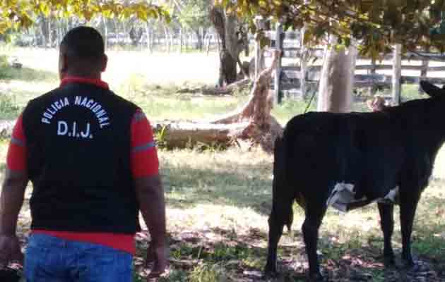 El incidente ocurrió en 2016, en Remedios.