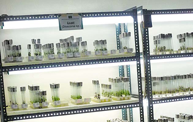 El Idiap tiene laboratorios en los que se realizan los estudios.(Cortesía.)