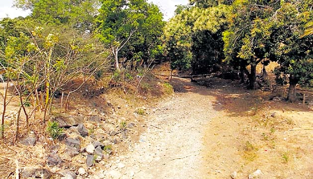 La Quebrada los Leales ya no tiene corriente y parece un camino.(Zenaida Vásquez )