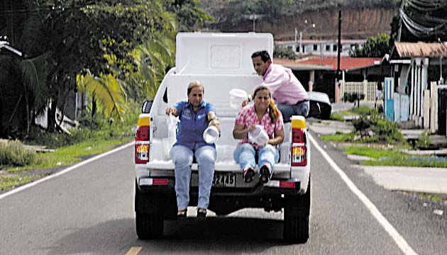 Los mosquitos vuelan hasta 500 metros en un radio de 1 kilómetro.