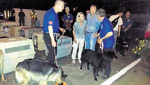 Padres de Kris Kremers esperaron llegada de caninos