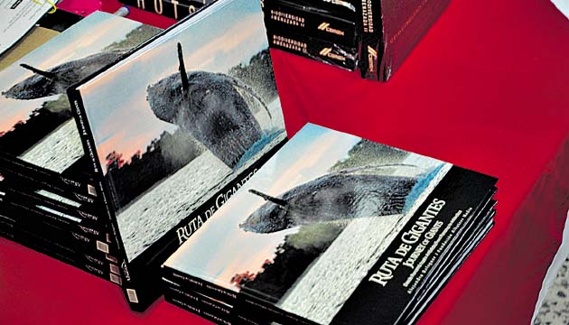 Los libros tienen imágenes del recorrido de ballenas.
