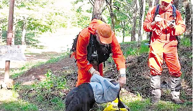 La búsqueda se amplió a puntos fuera del sendero El Pianista.(Mayra Madrid)
