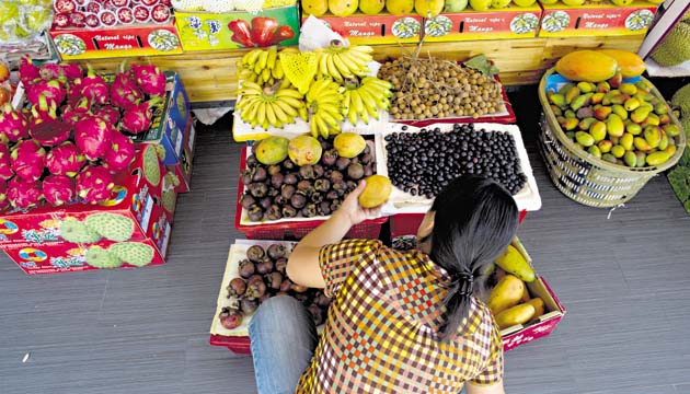 El Dorado alberga la mayoría de los establecimientos vegetarianos.(Víctor Arosemena)