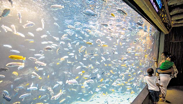 El acuario de Toronto cuenta con más de 16 mil especies.