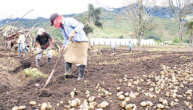 La mano de obra se ha encarecido en las áreas de producción.(Archivo.)