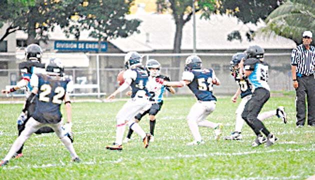 Los Fighting Owls dominaron a los Dragons en la categoría mini