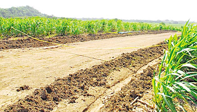El Ministerio Público cerró con una cinta amarilla el acceso hacia las plantaciones y la fábrica de la empresa Campos de Pesé, esto mientras se mantenga su cierre temporal. La Fiscalía sostiene que encontró estructuras deficientes que permiten la contaminación de los afluentes que descargan en el río La Villa.