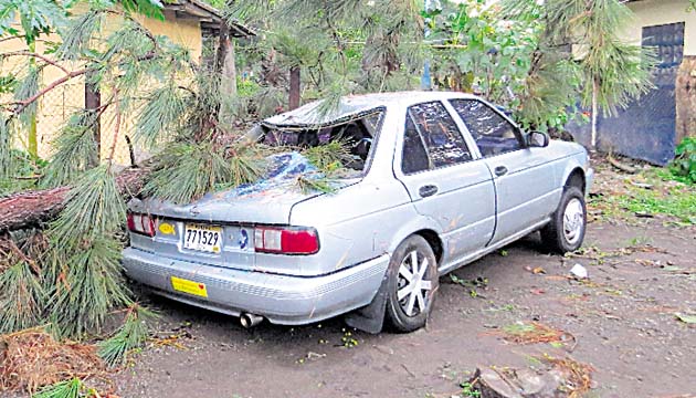 A tres autos estacionados en el IPT de Divalá, le cayeron árboles.(Cortesía )