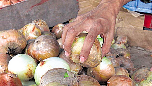 Comerciantes indican 20% en mermas.(Edwin González)