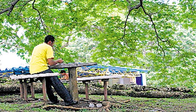 Identifican condiciones actuales de las especies en campus de la UP Panamá